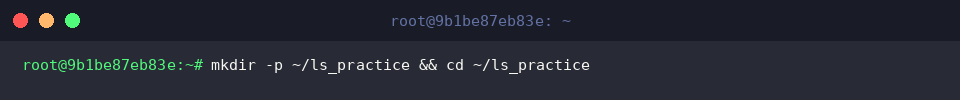 mkdir -p ~/ls_practice && cd ~/ls_practice