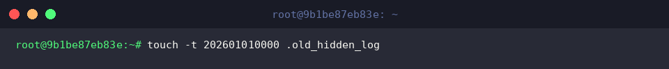 touch -t 202601010000 .old_hidden_log