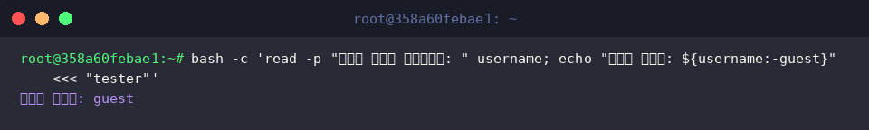 bash -c &lsquo;read -p &ldquo;사용자 이름을 입력하세요: " username; echo &ldquo;입력된 사용자: ${username:-guest}&rdquo; «< &ldquo;tester&rdquo;&rsquo;