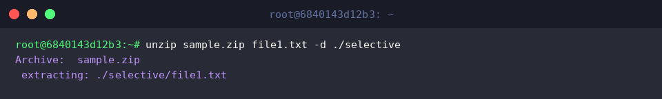 unzip sample.zip file1.txt -d ./selective