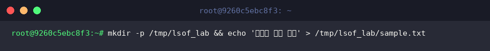 mkdir -p /tmp/lsof_lab && echo &lsquo;테스트 파일 내용&rsquo; > /tmp/lsof_lab/sample.txt