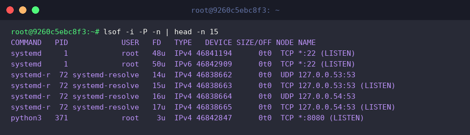 lsof -i -P -n | head -n 15