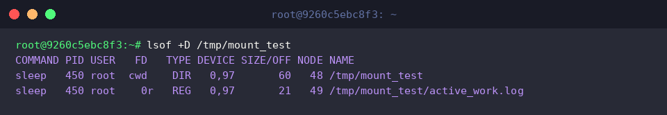 lsof +D /tmp/mount_test
