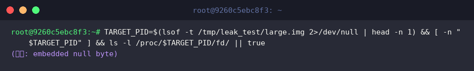 TARGET_PID=$(lsof -t /tmp/leak_test/large.img 2>/dev/null | head -n 1) && [ -n &ldquo;$TARGET_PID&rdquo; ] && ls -l /proc/$TARGET_PID/fd/ || true