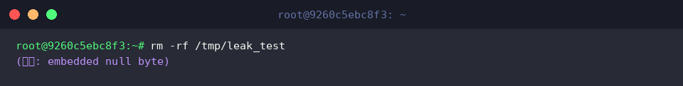 rm -rf /tmp/leak_test