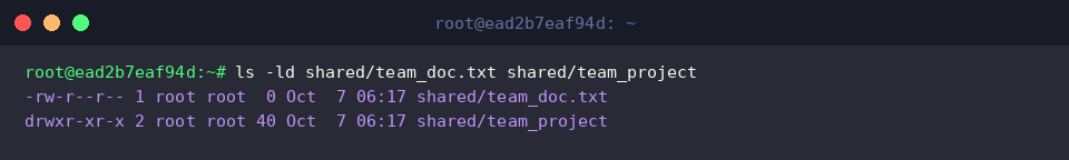 ls -ld shared/team_doc.txt shared/team_project