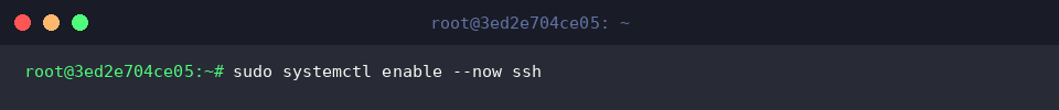 sudo systemctl enable &ndash;now ssh