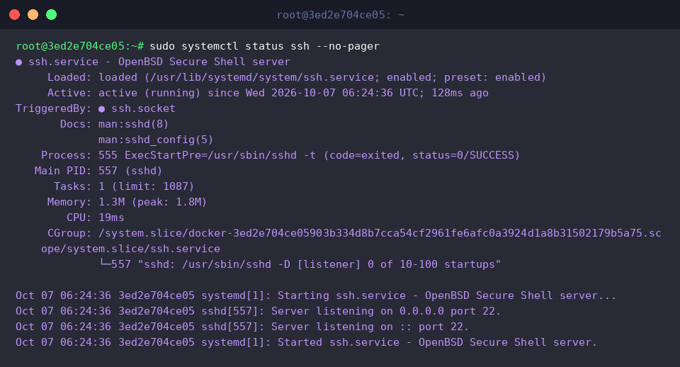 sudo systemctl status ssh &ndash;no-pager