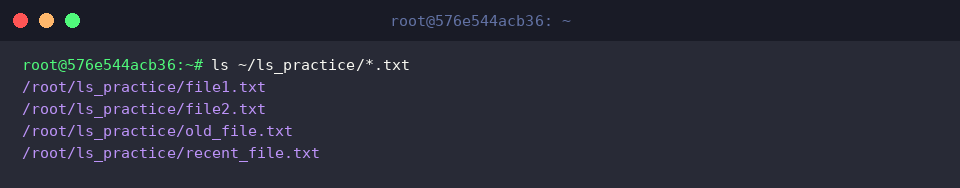 ls ~/ls_practice/*.txt