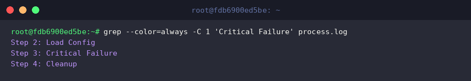 grep &ndash;color=always -C 1 &lsquo;Critical Failure&rsquo; process.log