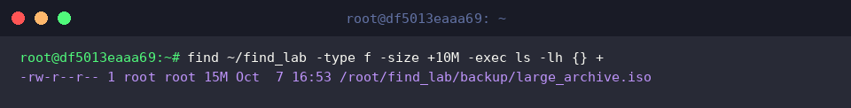 find ~/find_lab -type f -size +10M -exec ls -lh {} +