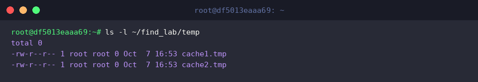 ls -l ~/find_lab/temp
