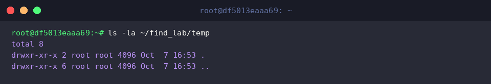 ls -la ~/find_lab/temp