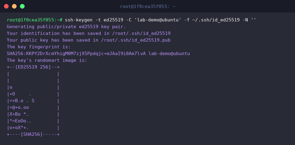 ssh-keygen -t ed25519 -C &rsquo;lab-demo@ubuntu&rsquo; -f ~/.ssh/id_ed25519 -N &lsquo;&rsquo;