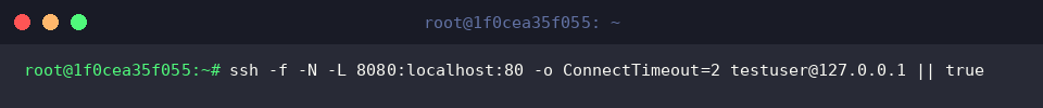 ssh -f -N -L 8080:localhost:80 -o ConnectTimeout=2 testuser@127.0.0.1 || true