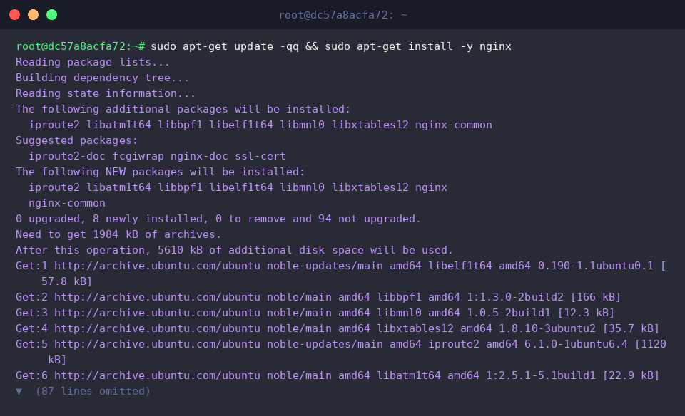 Installing Nginx package via apt-get