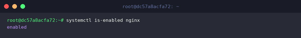 Checking boot persistence state via is-enabled flag
