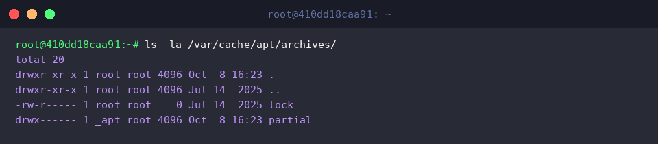 Listing cache directory contents post-cleanup