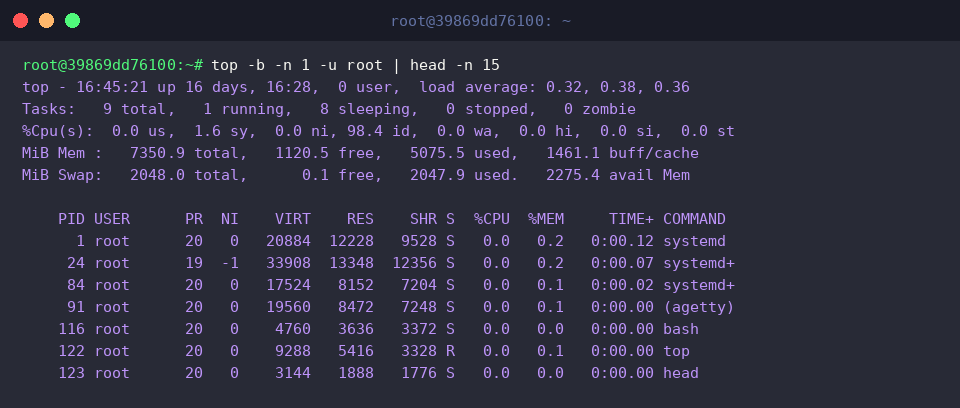 Filtering running processes owned by the root account