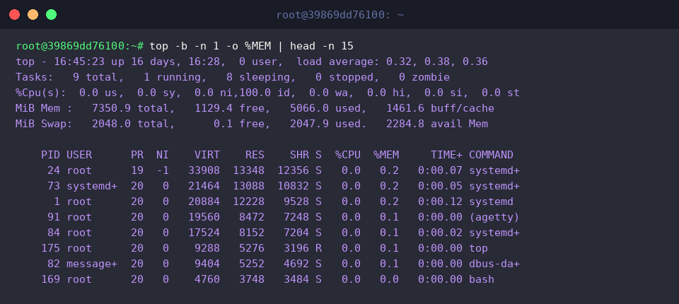Ordering the process table by memory consumption to identify heavy allocations