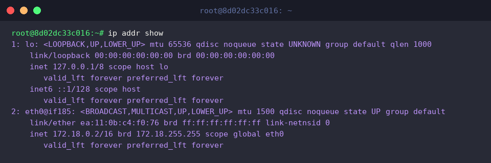 Viewing interface details and IP bindings with ip addr show