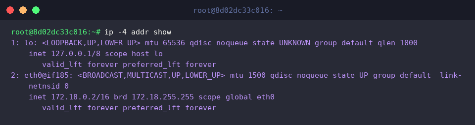 Filtering exclusively for IPv4 entries using ip -4 addr show