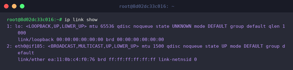Auditing link layer attributes with ip link show