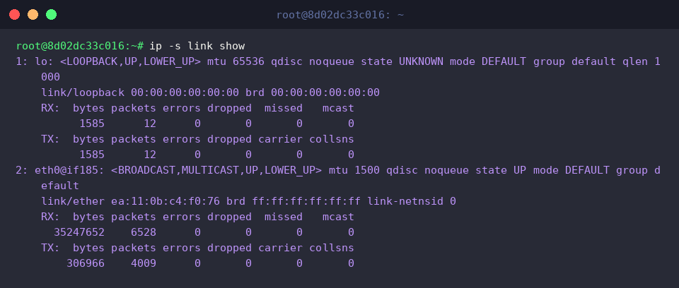 Checking interface throughput and error counters with ip -s link show