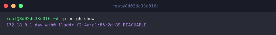 Displaying resolved ARP and neighbor records using ip neigh show