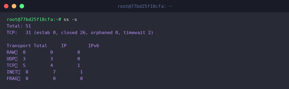 Inspecting global socket summary with ss -s