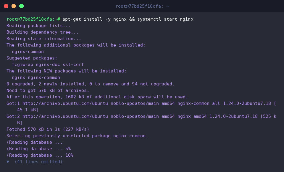 Installing and starting the Nginx web daemon