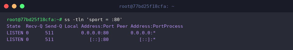 Filtering listening TCP sockets by source port 80
