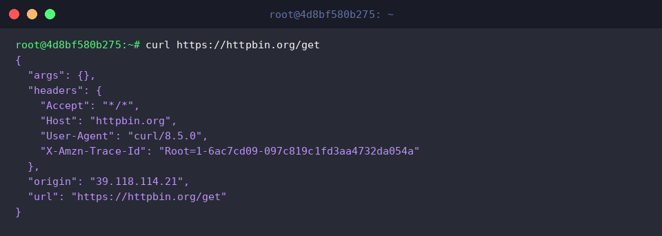 Executing a basic GET request with curl