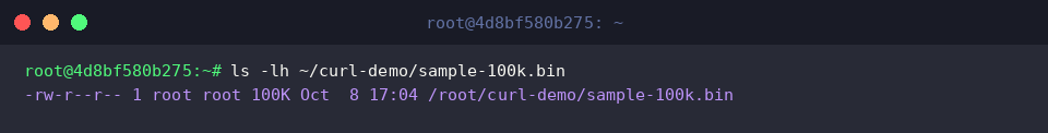 Verifying size and metadata of the downloaded binary
