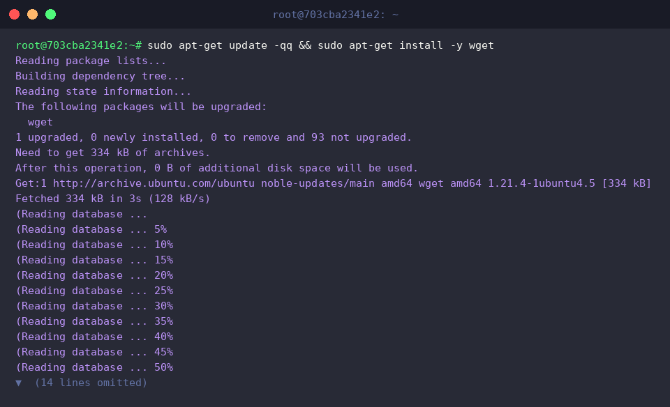 Updating package index and installing wget