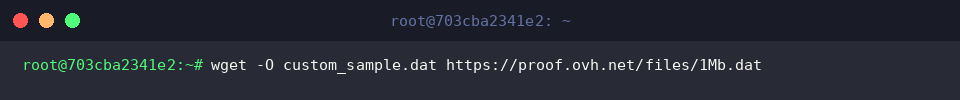 Downloading with a customized filename using -O