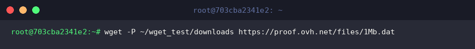 Directing output to a target directory with -P