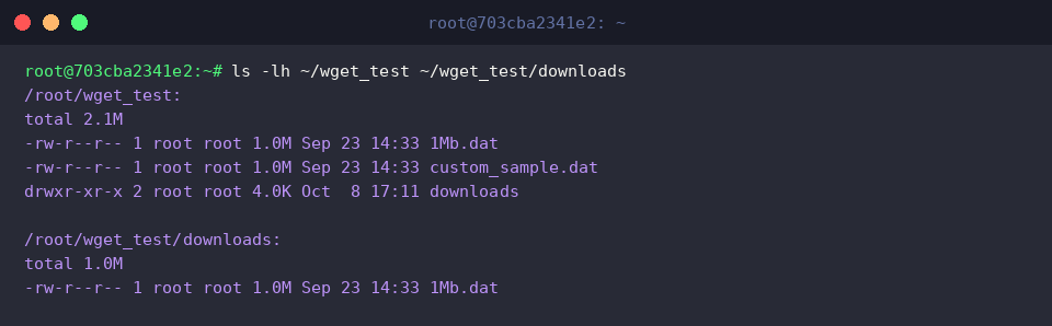 Verifying file names and disk usage with ls -lh