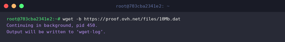 Sending download job to background with -b