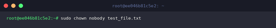 Transferring single-file ownership to user nobody with sudo