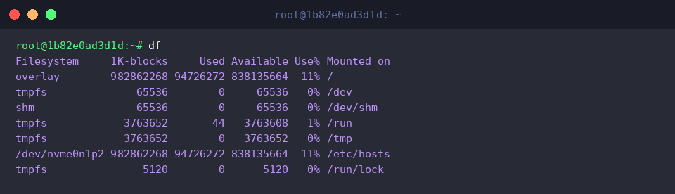 Raw df output displaying block counts