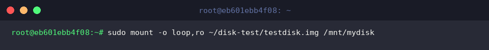 Attaching the volume in read-only mode