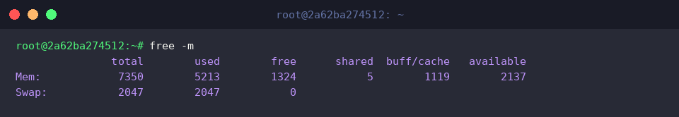 Mebibyte metric view using free -m