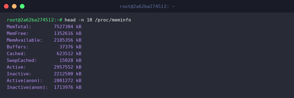 Raw memory statistics from /proc/meminfo