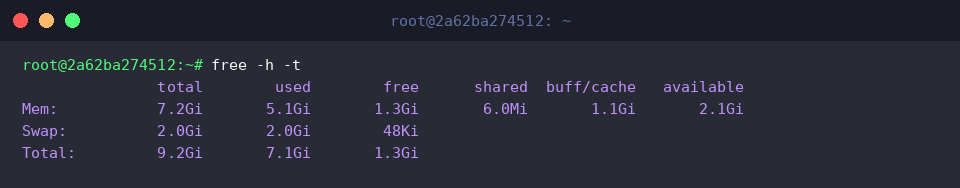 Displaying composite memory totals with free -h -t