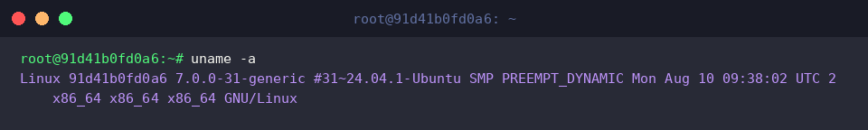 Full system diagnosis using uname -a