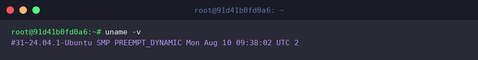 Inspecting build timestamp and kernel version with uname -v