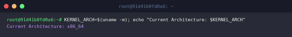 Dynamic architecture detection in shell scripts