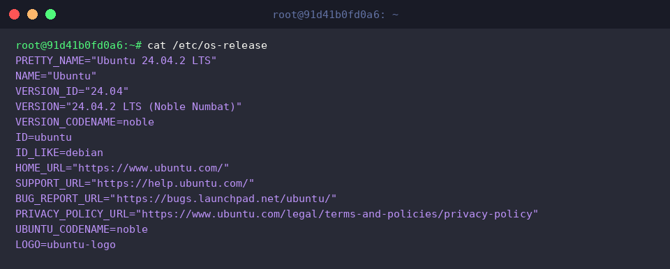 Inspecting OS distribution details with cat /etc/os-release