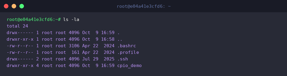 Verifying extracted file permissions and contents
